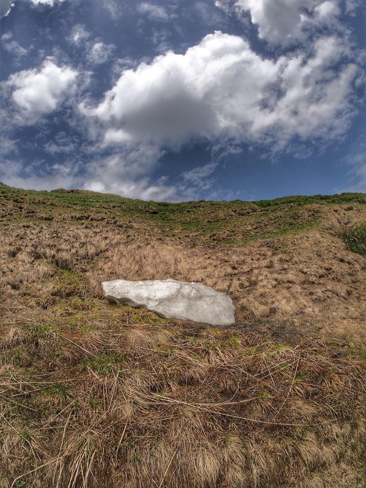 transbucegi, cursiere, ciclism sosea