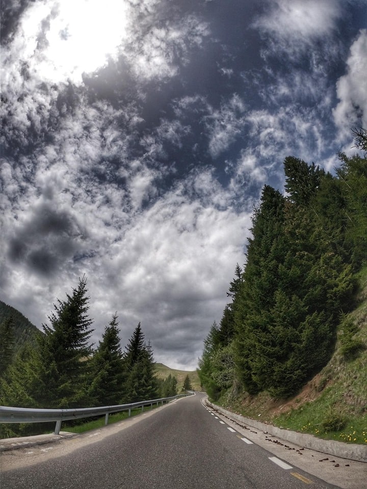 transbucegi, cursiere, ciclism sosea