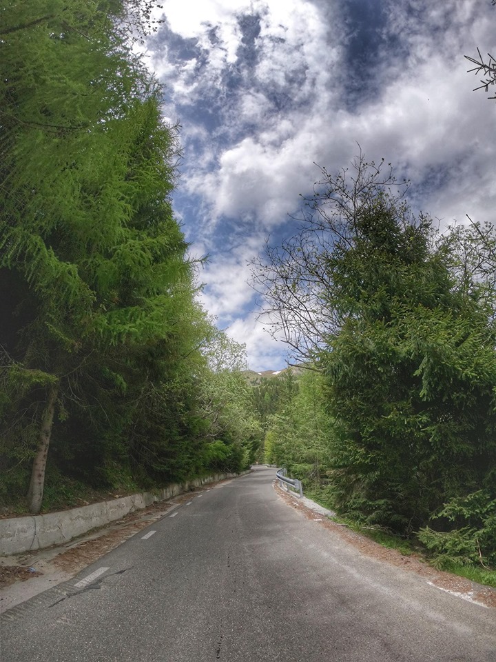 transbucegi, cursiere, ciclism sosea