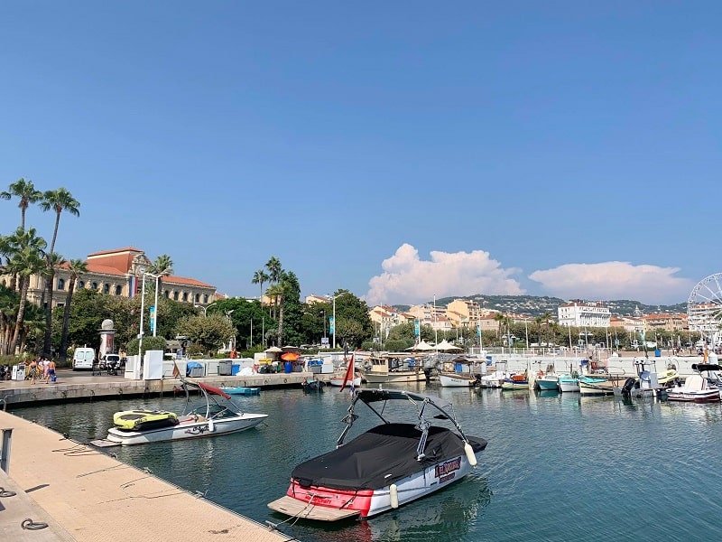Cannes Port Panorama