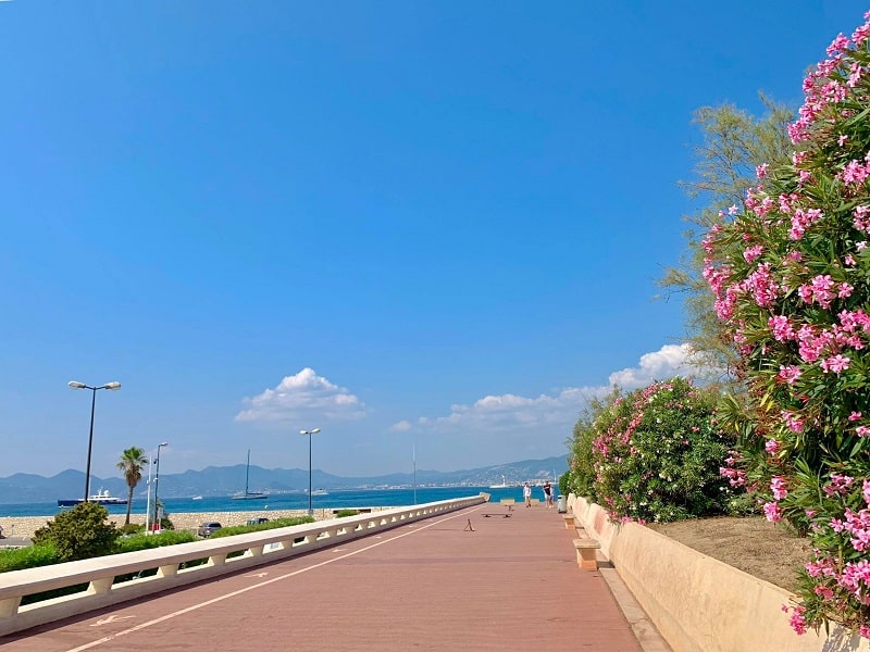 Cannes Promenade